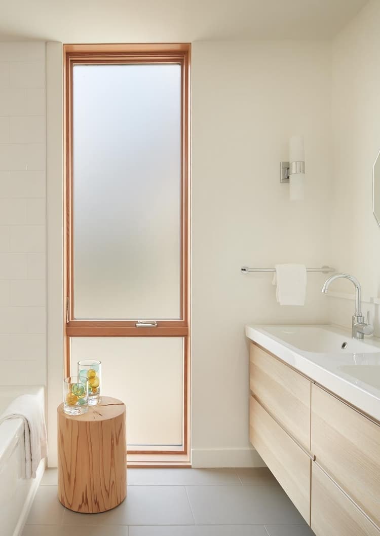 Privacy Glass Windows